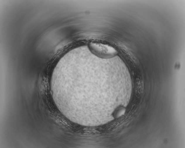 X0000096170918200801251147