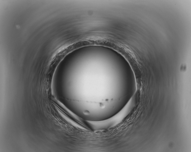 X0000096170920200801251147