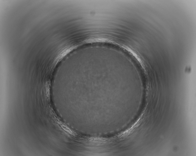 X0000096170921200801251147