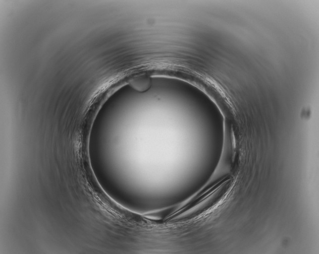 X0000096170922200801251147