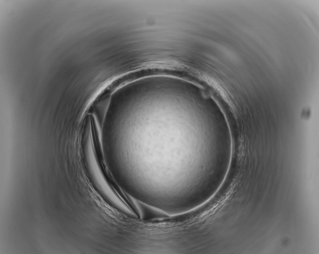 X0000096170923200801251147