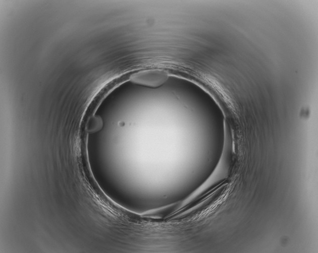 X0000096170924200801251147