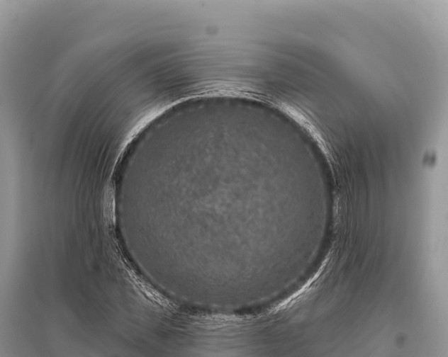 X0000096170925200801251147