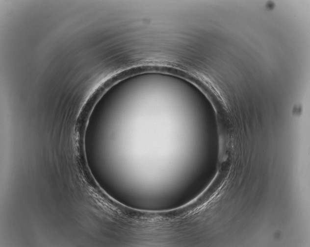 X0000096170926200801251147