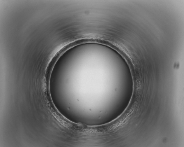 X0000096170927200801251147