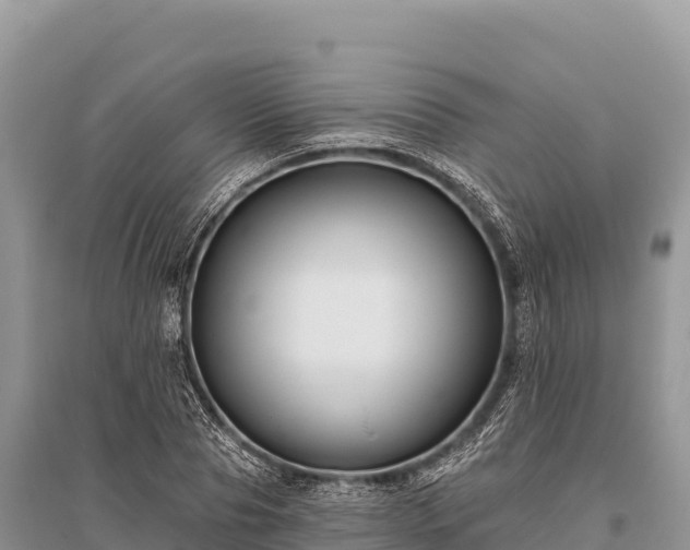 X0000096170929200801251147