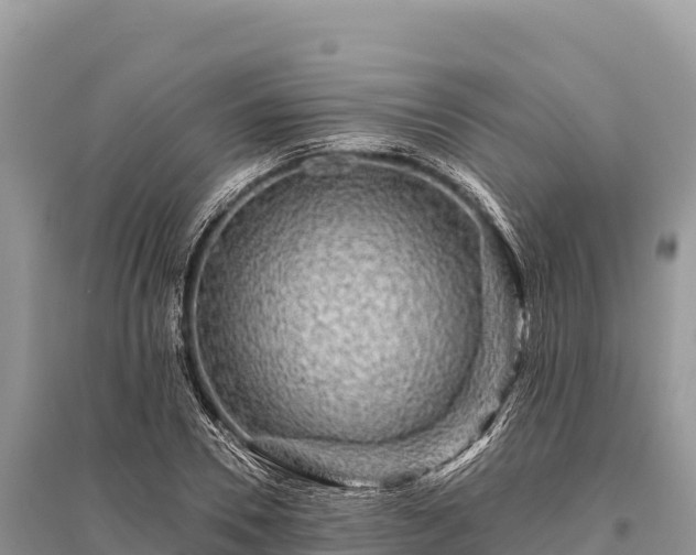 X0000096170930200801251147