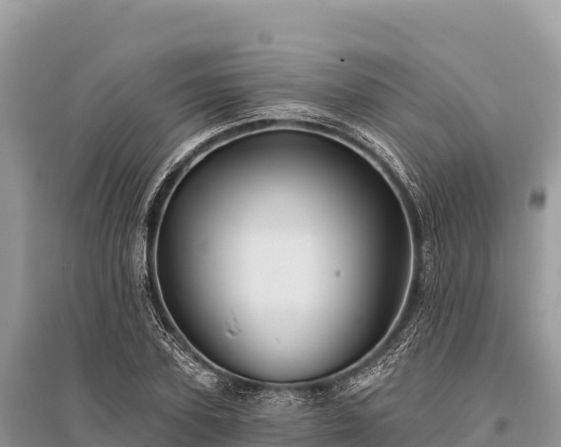 X0000096170931200801251147