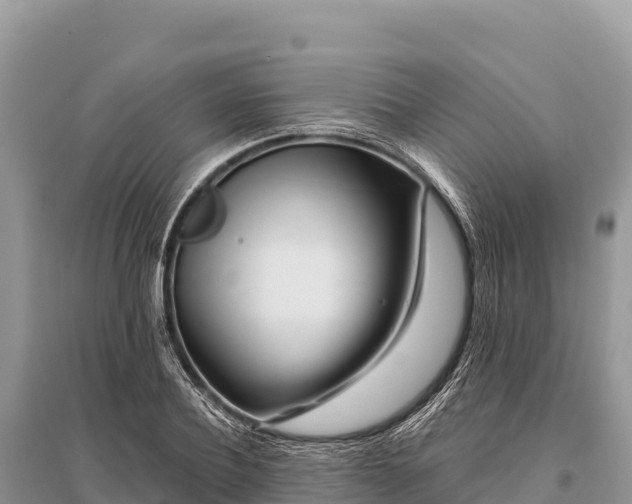 X0000096170932200801251147