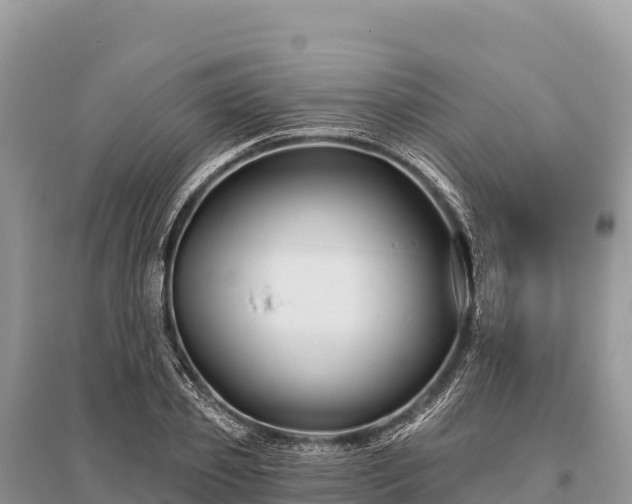 X0000096170933200801251147