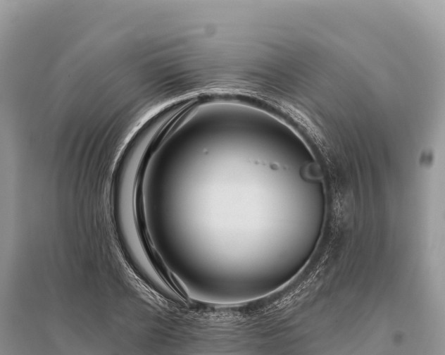 X0000096170934200801251147