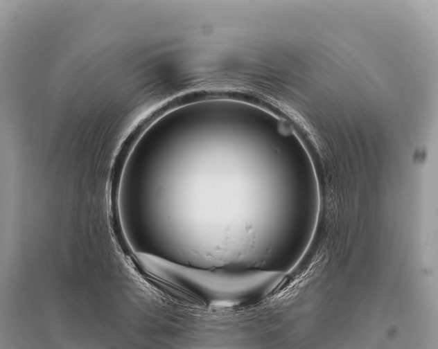 X0000096170935200801251147