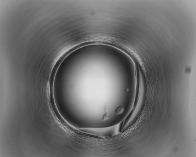 X0000096170936200801251147