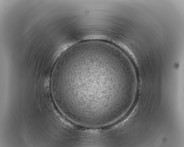 X0000096170937200801251147