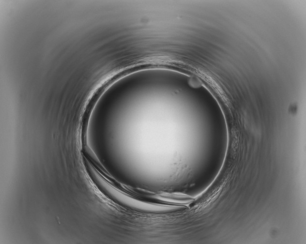 X0000096170939200801251147