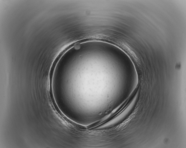 X0000096170940200801251147