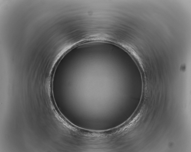 X0000096170941200801251147