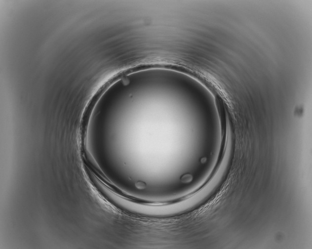 X0000096170942200801251147