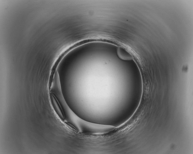 X0000096170943200801251147