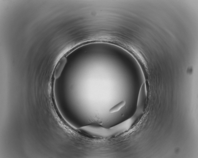 X0000096170944200801251147