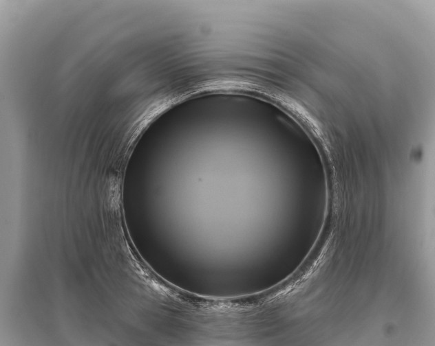 X0000096170945200801251147