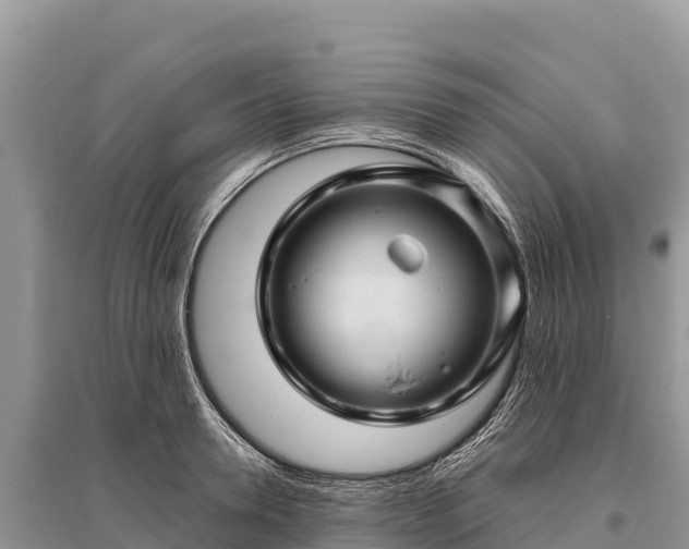 X0000096170946200801251147