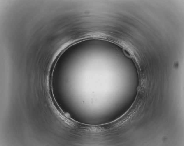 X0000096170947200801251147