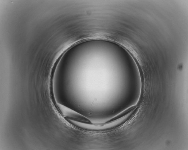 X0000096170949200801251147