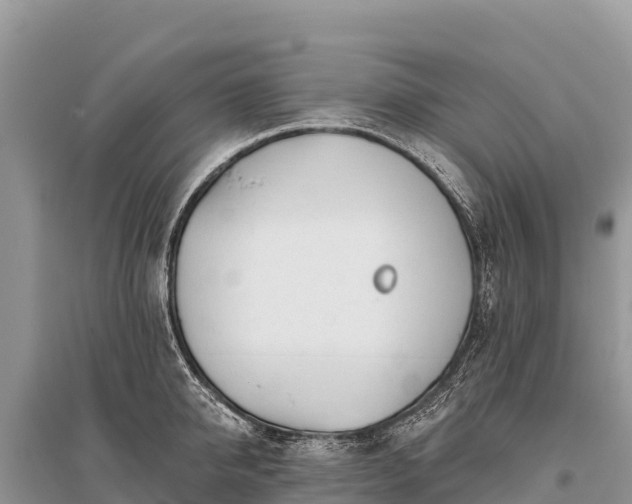 X0000096170950200801251147