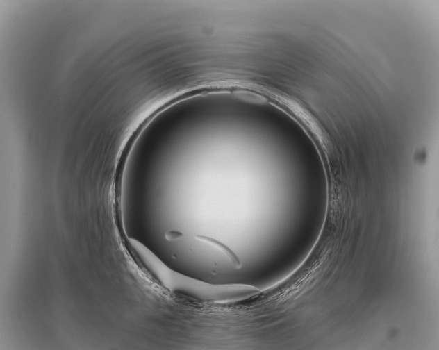 X0000096170951200801251147