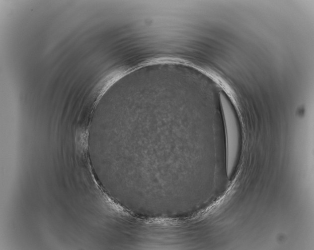 X0000096170953200801251147