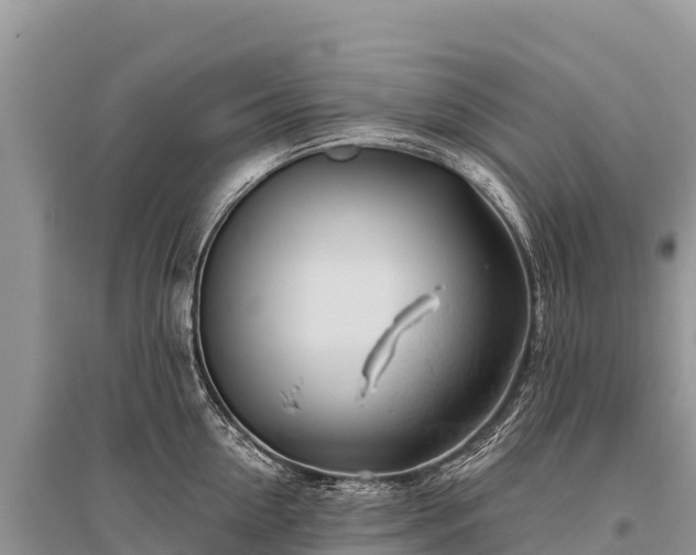 X0000096170954200801251147