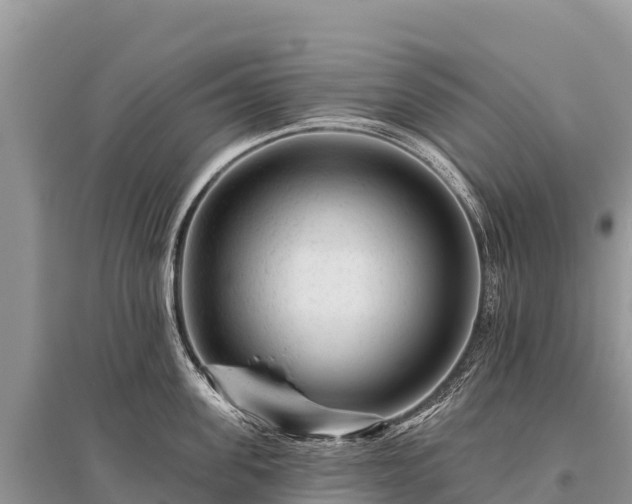 X0000096170955200801251147