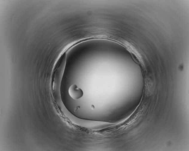 X0000096170956200801251147