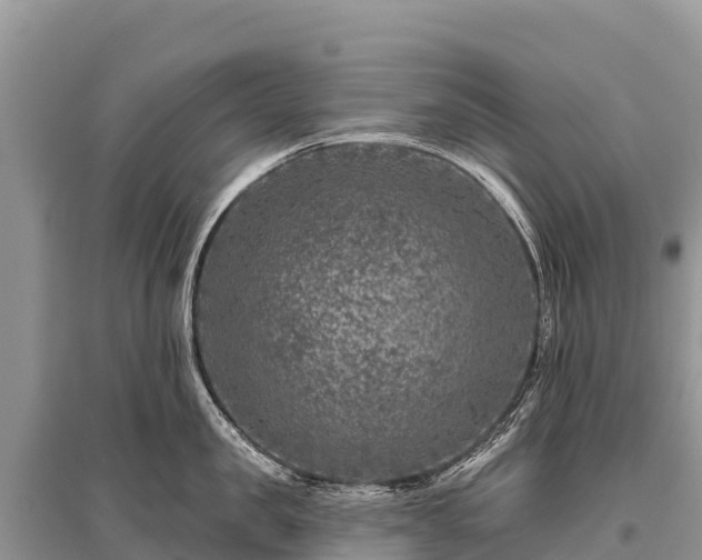 X0000096170957200801251147