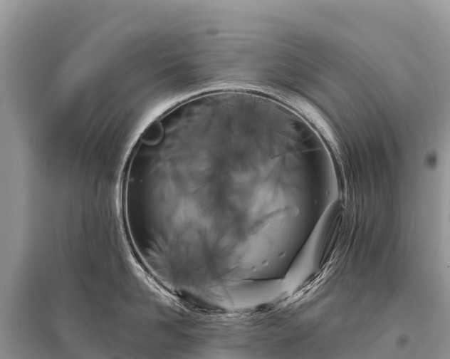 X0000096170958200801251147