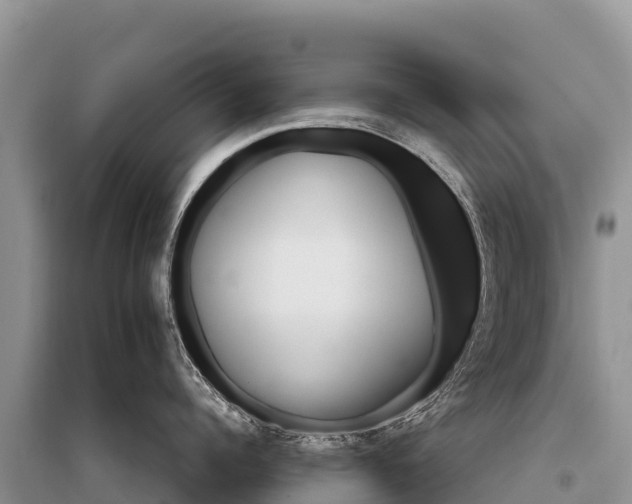 X0000096170960200801251147