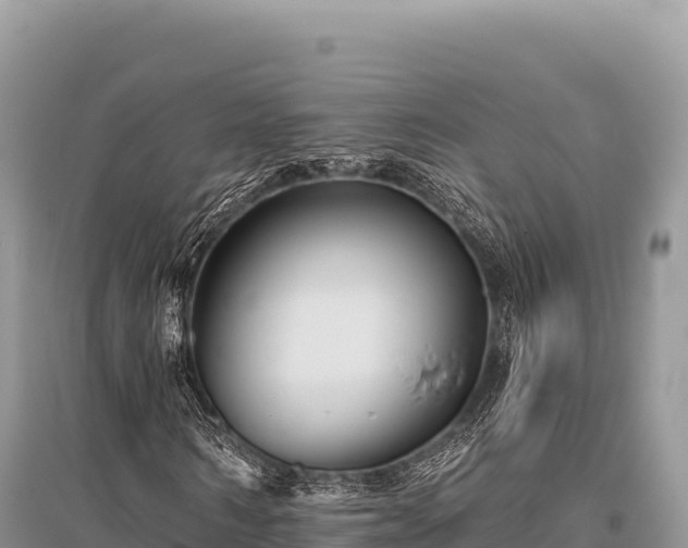 X0000096170962200801251147