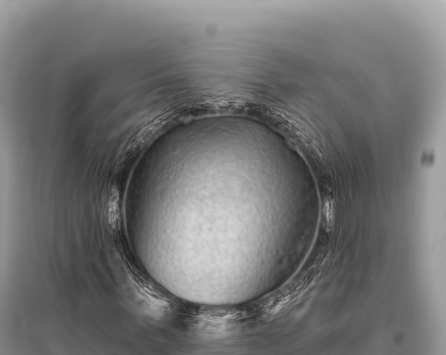 X0000096170963200801251147