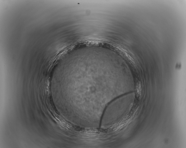 X0000096170964200801251147