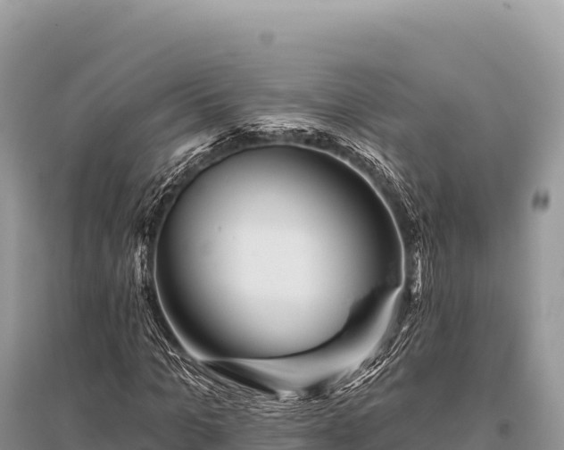 X0000096170965200801251147