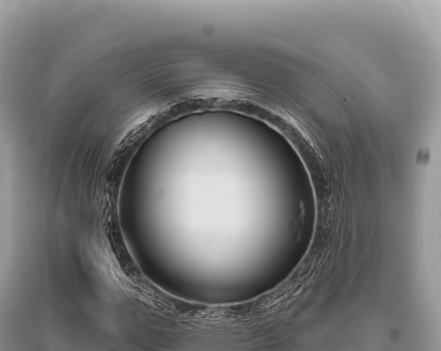 X0000096170967200801251147