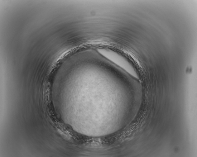 X0000096170968200801251147