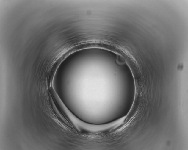 X0000096170969200801251147