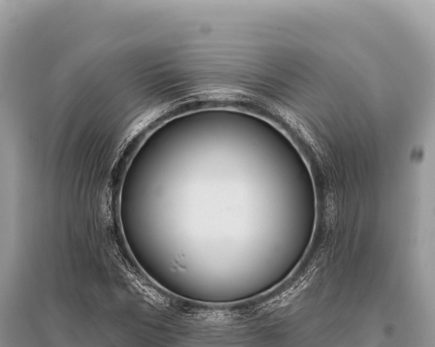 X0000096170970200801251147