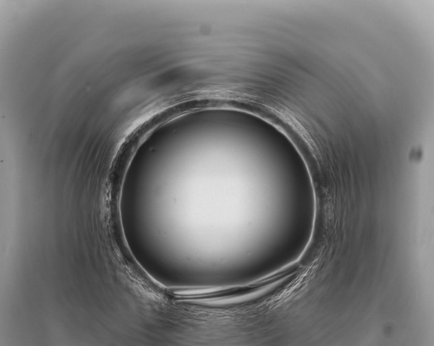 X0000096170971200801251147