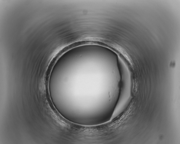 X0000096170972200801251147