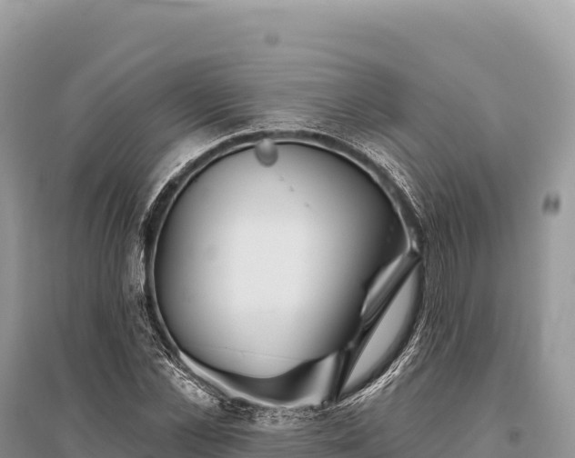 X0000096170973200801251147