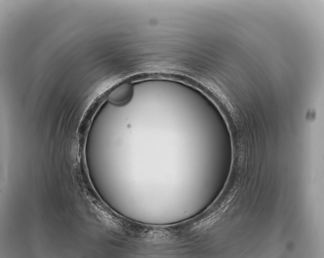 X0000096170974200801251147