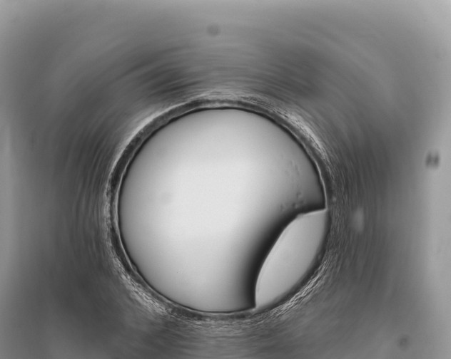 X0000096170976200801251147